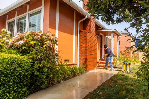 Professional Pressure Washing in Ridge Wood Heights, FL