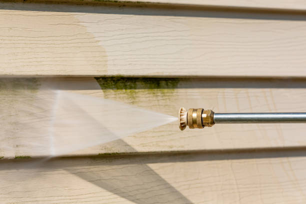 Best House Pressure Washing  in Ridge Wood Heights, FL