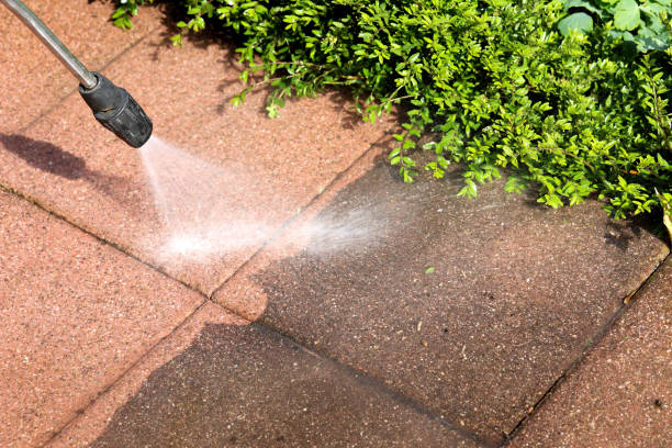 Local Pressure Washing Services in Ridge Wood Heights, FL